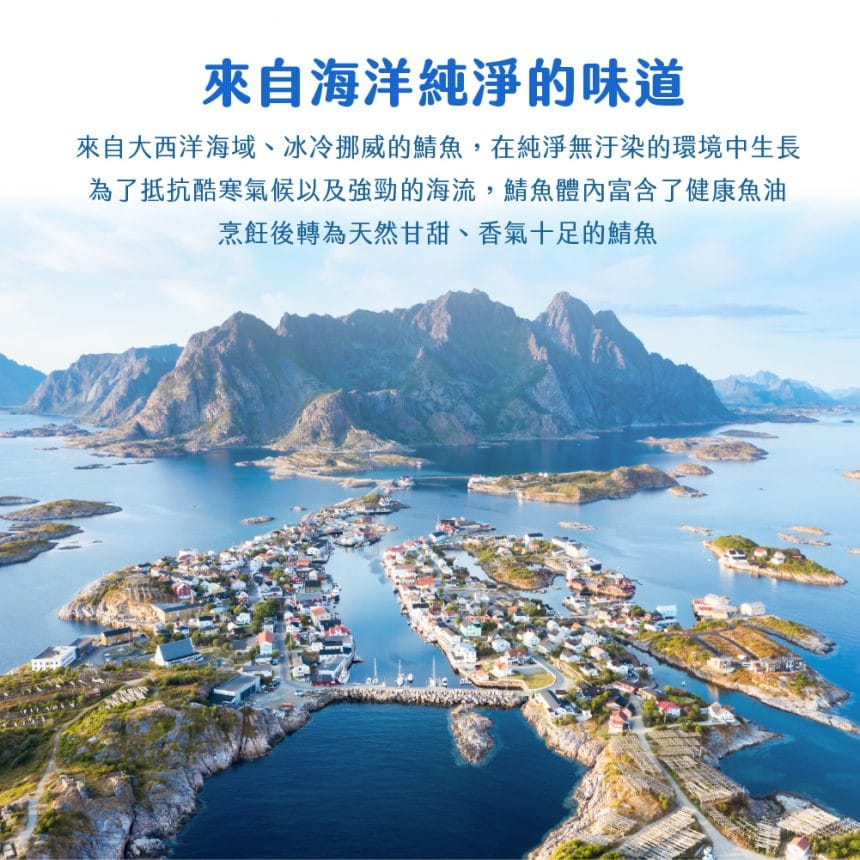 鹽漬鯖魚一夜干2-100 鹽漬鯖魚一夜干2-100