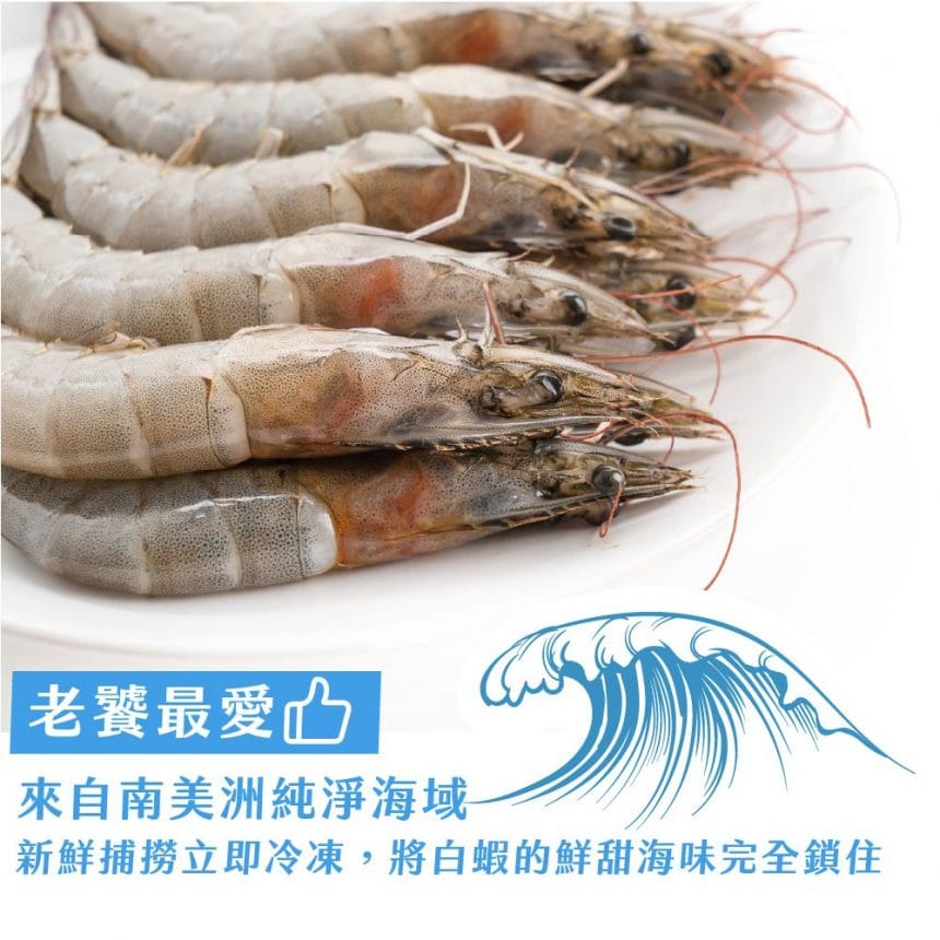 2022主圖2-100 2022主圖2-100