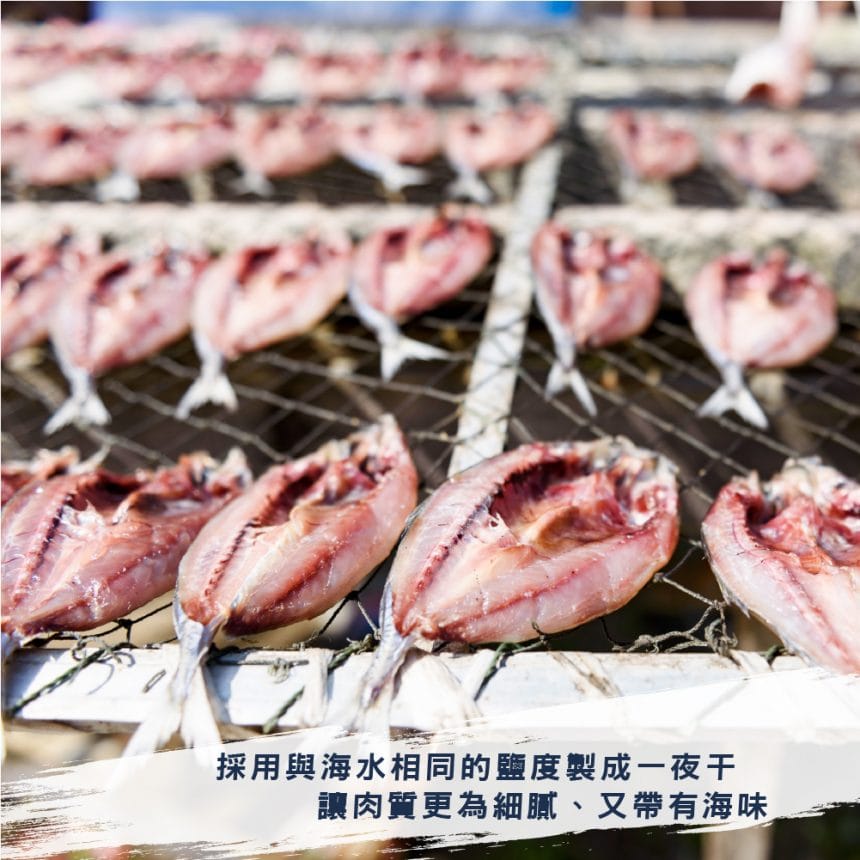 鹽漬鯖魚一夜干3-100 鹽漬鯖魚一夜干3-100