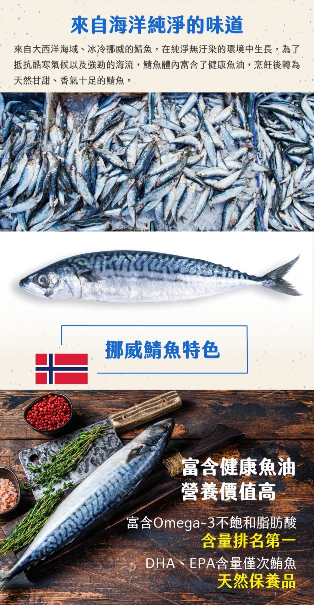 薄鹽鯖魚詳情頁3 挪威薄鹽鯖魚片