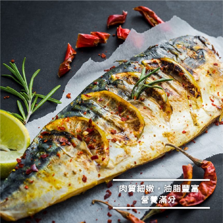 鹽漬鯖魚一夜干4-100 鹽漬鯖魚一夜干4-100
