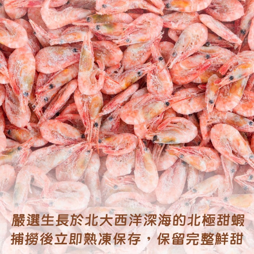 北極甜蝦_主圖3 北極甜蝦_主圖3
