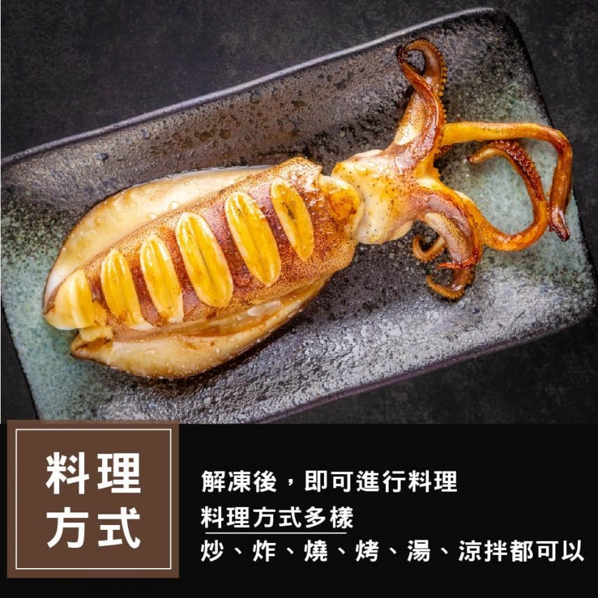 菲律賓軟絲_主圖5 菲律賓軟絲_主圖5